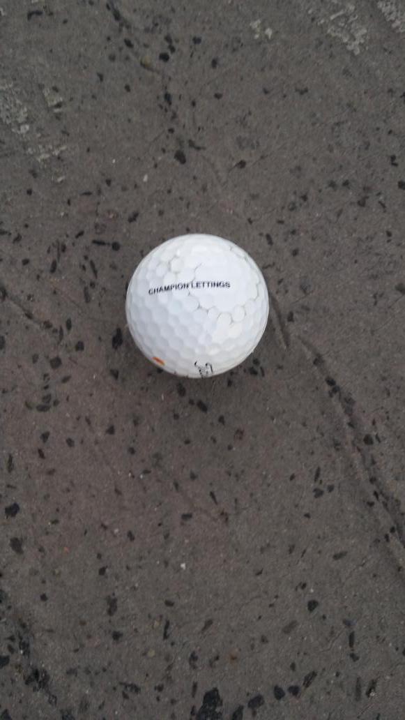 GrahamL113's tweet photo. You will have to tell Ken to stop printing on golf balls! No hiding now! #wild  #foreontheroof @Smyth666 http://t.co/Pg07pFeERu