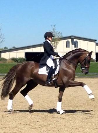 MotherBetsy's tweet photo. Breathtaking horses #nedafall #dressage http://t.co/k7cmgGFXZv