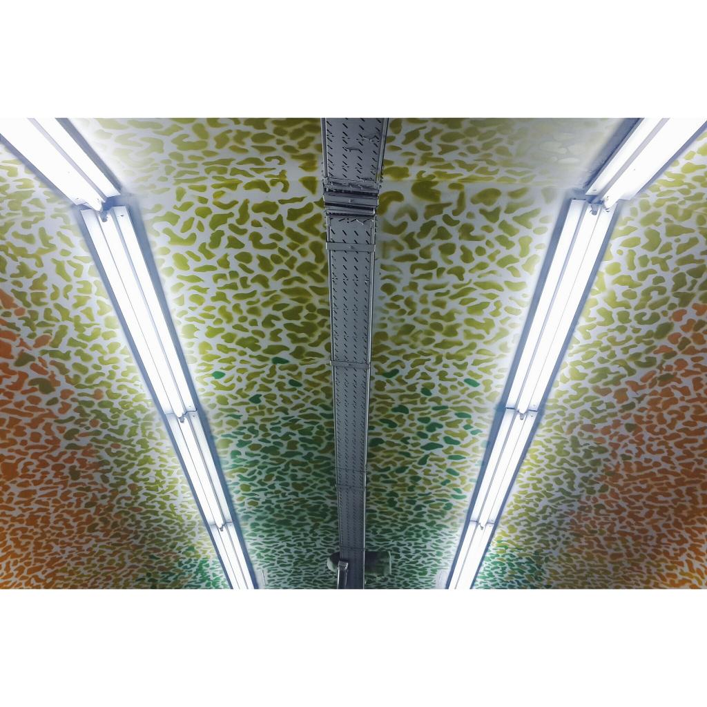 ProyectoINDIANA's tweet photo. {En la estación Agüero del subte Línea D}
#streetart
\ http://t.co/NePmJyzLjK