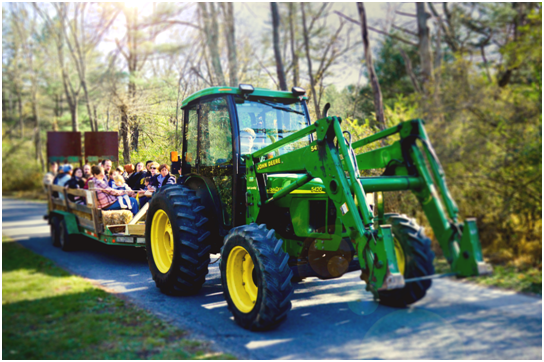 DreamPlanGoNow's tweet photo. Experience all things fall in Cumberland Valley PA like craft, food and music festivals http://t.co/Rrm6hDGVDt http://t.co/Xjp8LbEhEw