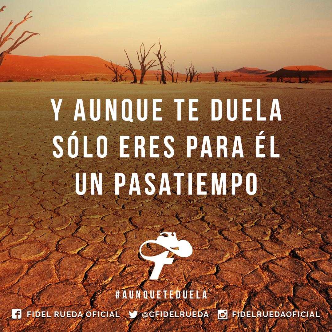 Fidel Rueda tweet media