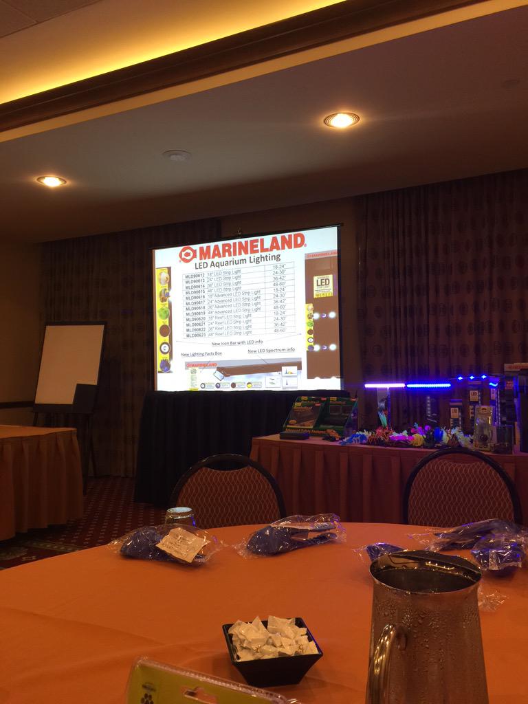 JKI2nd's tweet photo. LOVE talking Aquatic!!
Go Spectrum Brand!
@AnimalSupplyCo #GotGus #UPG http://t.co/B8zLKGqxZJ