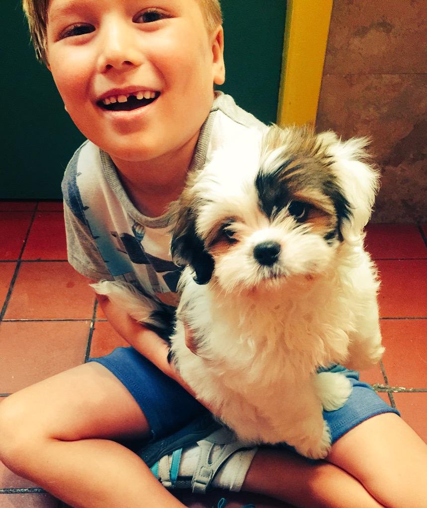 s8ntfan's tweet photo. Can we get a new dog?
Kids = 1
Dad = 0 http://t.co/z1A3elk0hf