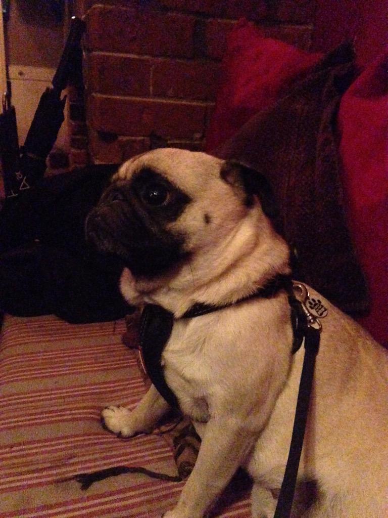 Watching <a href="/EnglandRugby/">England Rugby</a> - it's a tense game!! #RWC2015