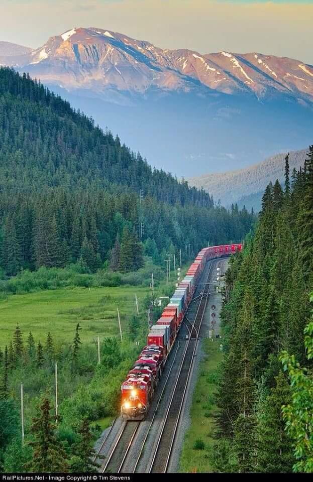 StreamReporter's tweet image. PERISCOPE: rakeshinsan2014: Gurmeetramrahim #MSGRocks #Periscope पिता जी thanks