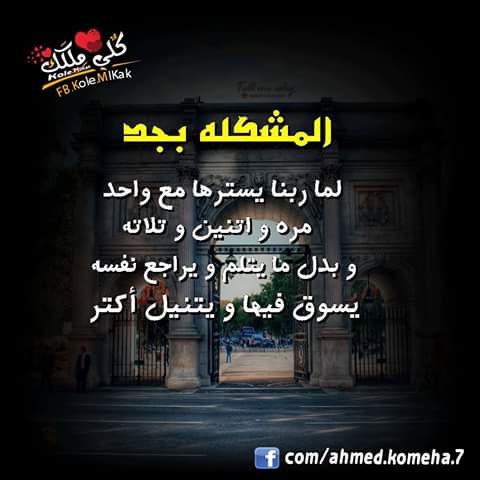 الحوت tweet media