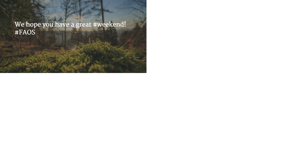 PB_Outsourcing's tweet image. We hope you have a great #weekend!
#FAOS