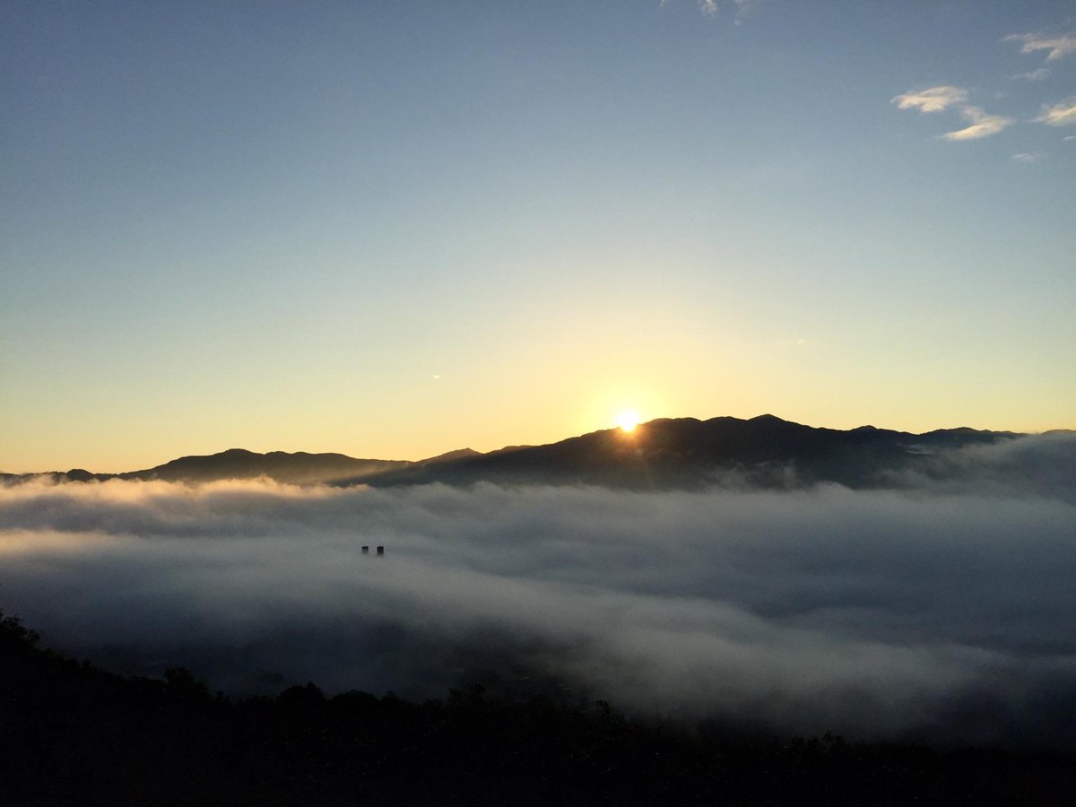 秩父 ミューズ パーク 雲海