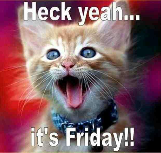 wylde1deb's tweet photo. @dejavuskye http://t.co/3rrV6TbWTn