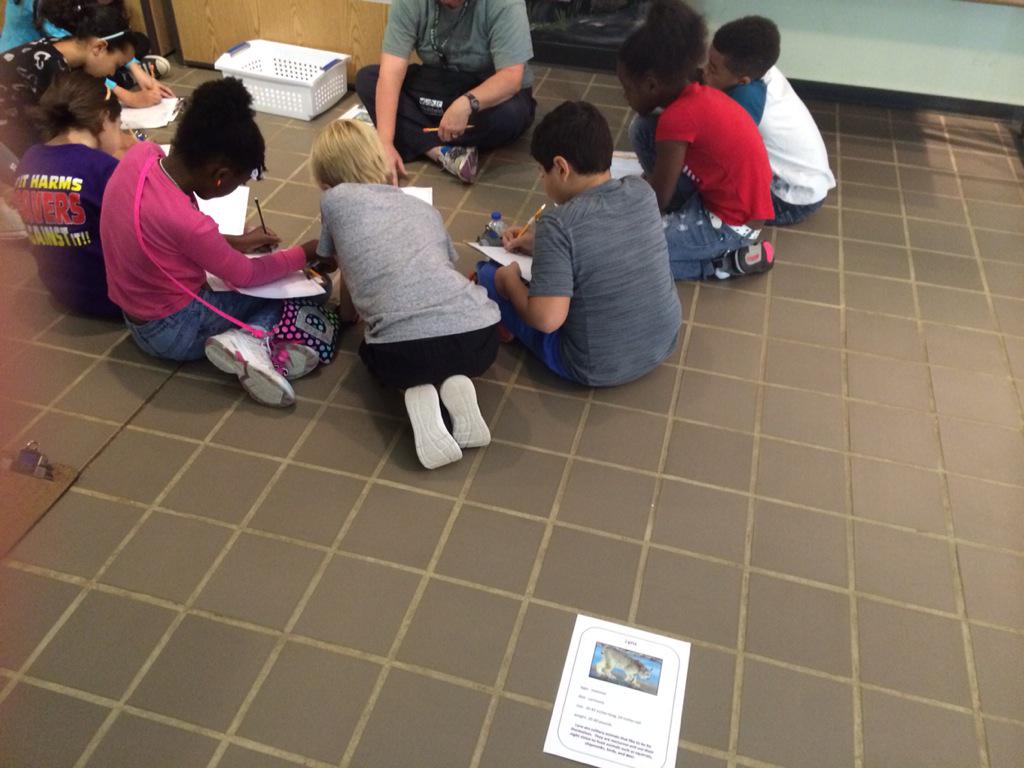Huffman Fourth Grade tweet media