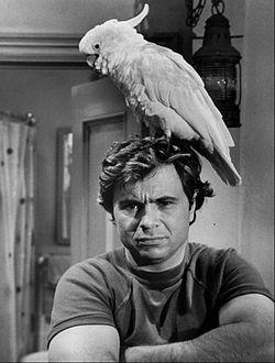 Happy birthday Robert Blake, 82 today: originally one of Our Gang, later in TV\s Baretta 