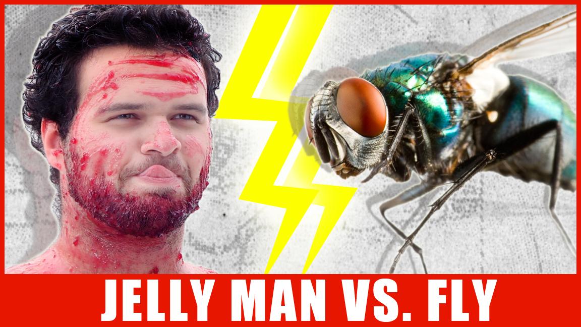 OfficialDoor3's tweet photo. Man Covered In Jelly VS A Fly [To make your Saturday even better!]
https://t.co/hKK2YtlIUG http://t.co/zb2BJsJgAe