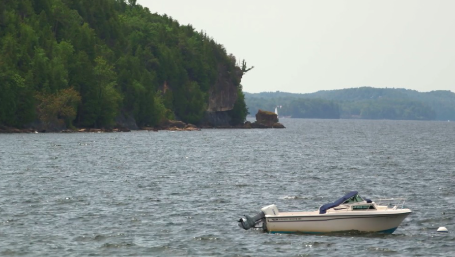 Blue Legacy tweet media