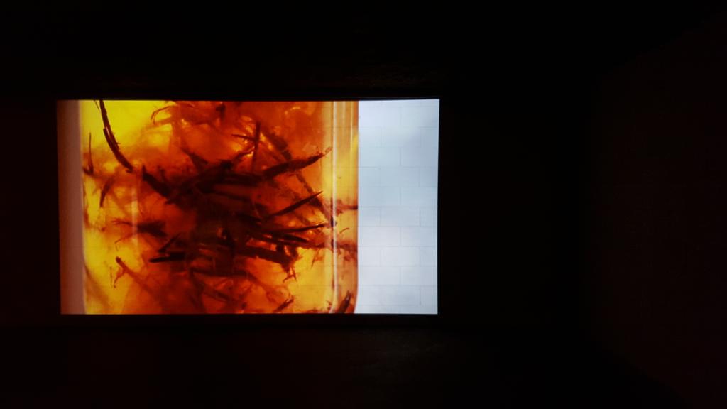 CaitlynJeanArt's tweet photo. Awesome meditative videos reminiscent of Andre Serrano by Elyse Portal #nvsupernova #BurlON http://t.co/VIe1KAwcLp