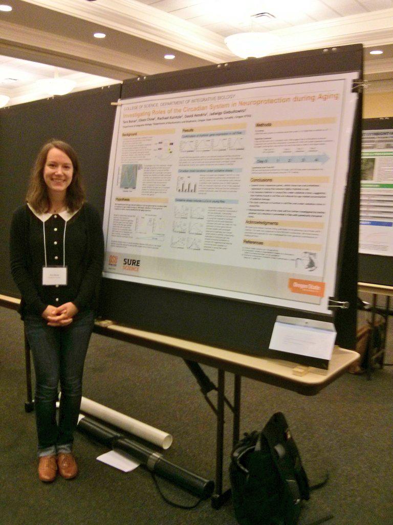 JagaLab_OSU's tweet image. Tara presents her SURE Science undergrad project on possibly circadianly regulated ROS responsive genes @ #CGRBf15 !