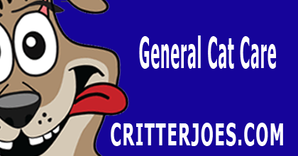CritterJoes's tweet photo. General Cat Care | https://t.co/pRqZTwvfo9 #pethealth #cat #catnews #LEDCollars#critterjoes #petnews #ledleash https://t.co/FhFtabJpkT