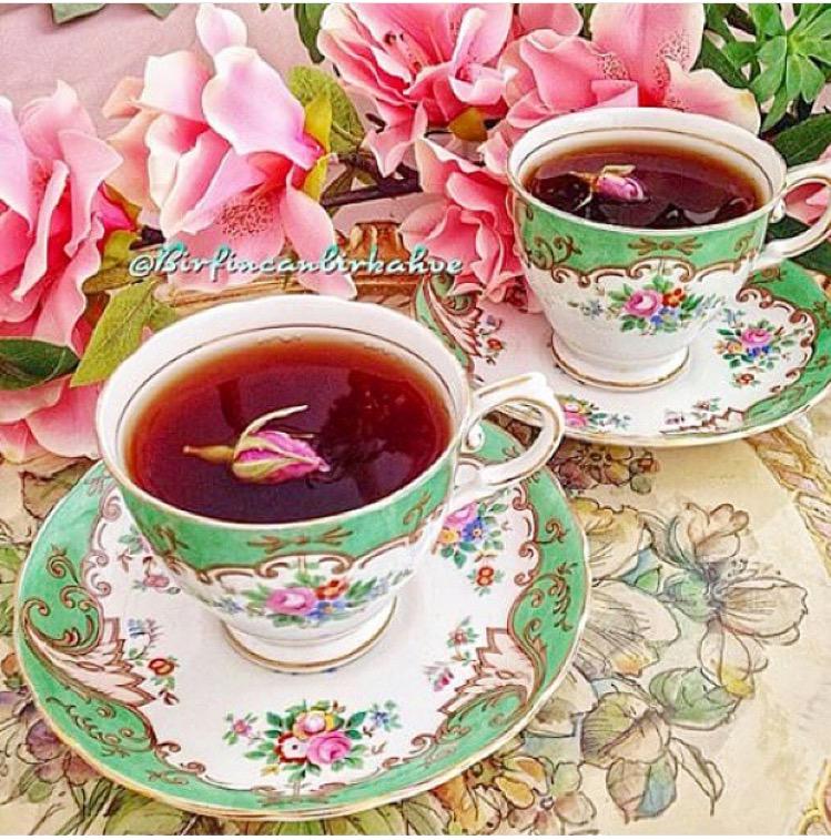 <a href="/ShSQ8/">SHSQ8🇰🇼🇰🇼🇰🇼</a> <a href="/B_A_TT/">حمامة السلام🕊</a> <a href="/78Athari/">ALQALLAF&78</a> @mmonn78 <a href="/love24478/">قاسم الحداد</a> <a href="/sawsen222/">ريحانة علي</a> <a href="/mnh246/">الماء المعين</a> <a href="/shosho777ss/">****</a> <a href="/R_ALKAWTHAR/">♻️ الكوثر ♻️ 58K</a> @KW__R #صباح_الخير