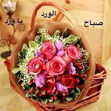 <a href="/ShSQ8/">SHSQ8🇰🇼🇰🇼🇰🇼</a> <a href="/78Athari/">ALQALLAF&78</a> @mmonn78 <a href="/love24478/">قاسم الحداد</a> <a href="/sawsen222/">ريحانة علي</a> <a href="/mnh246/">الماء المعين</a> <a href="/shosho777ss/">****</a> @Kuwaitia68 <a href="/R_ALKAWTHAR/">♻️ الكوثر ♻️ 58K</a> @KW__R