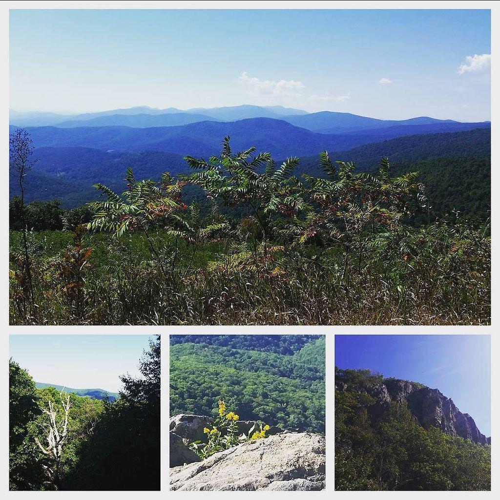 NatlParksPhotos's tweet photo. by lieneschbrewing: Had a blast today hiking, driving, and taking in the sights! #Shenandoah #NationalParks #DayTri… http://t.co/RLeL2PKAaC