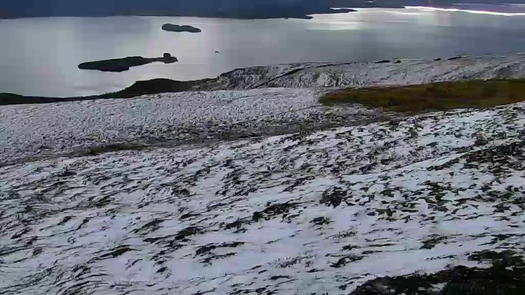 exploreorg's tweet photo. There's snow up on Dumpling Mountain! http://t.co/scBI4aOW0n #Bearcam snap by GayleneMackey http://t.co/coG48bHRCg