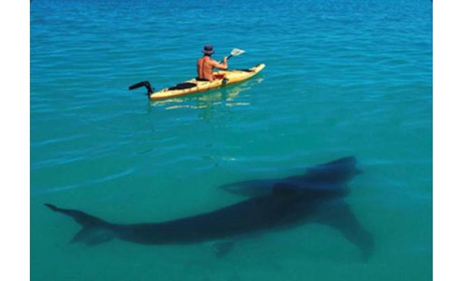 AiTechHubs's tweet photo. 16 Scary Photos That Make Leaving The House A Bad Option http://t.co/zozIBYCagn http://t.co/OUkVoGK70r