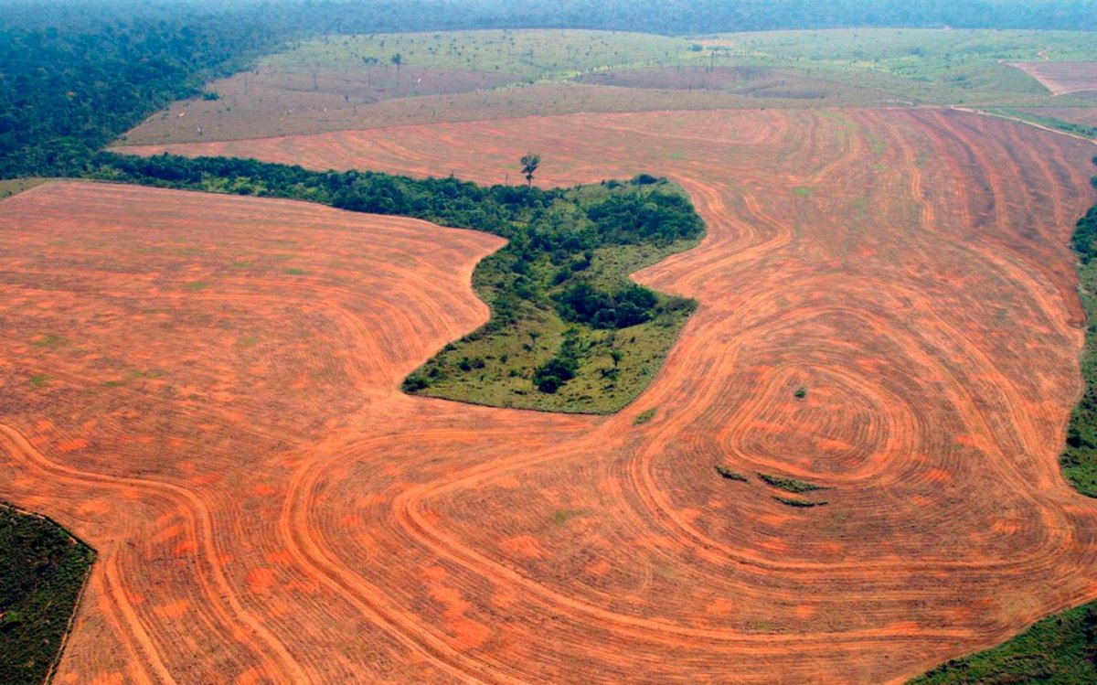 Greenpeace The Impact Of Deforestation In 14 Powerful Photos Http T Co Tirwemrql1 Http T Co Jo2a6rj04m