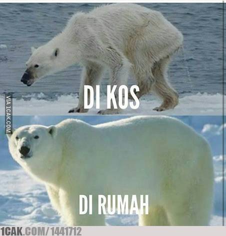 onecak's tweet photo. Anak kos story...
http://t.co/hMDsZ8Jszk http://t.co/iKMLWMA9l6