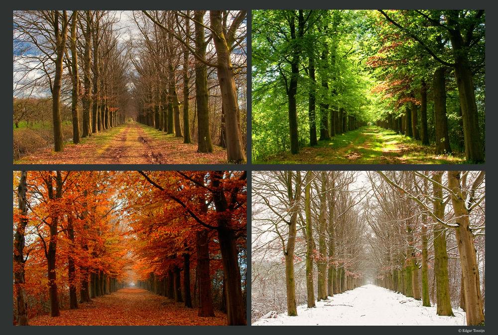physiomedhealth's tweet image. Autumn is almost upon us and Physiomed wants to know... What is your favourite season? goo.gl/aqUk3U