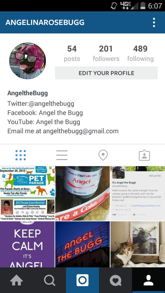 AngeltheBugg's tweet photo. I have 201 followers on #Instagram. Can I get the same here or more? #twitter #pugs #puglife #angelthebugg http://t.co/9zUgtFI268