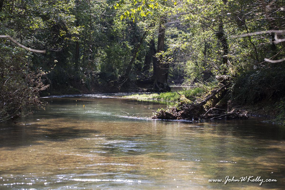 FishFXStudio's tweet photo. Secret spot to fish for McCloud Trout in MO at Crane Creek
#Flyfishing #troutfishing #FishFX http://t.co/ZuKZVEFR2M