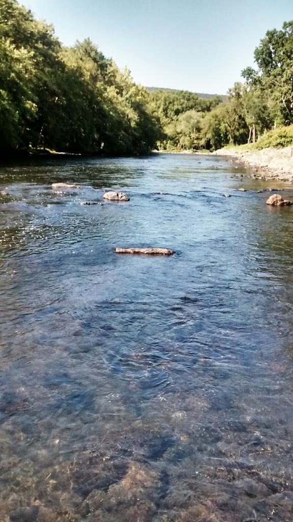 gracefulgrayce's tweet photo. A few of my favorite things. #riverwalker http://t.co/NdHXYoWGh0