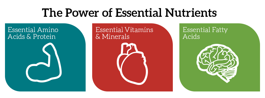 NutrientFoods43's tweet photo. 43 Essential Nutrients... Know Your Nutrients!  http://t.co/zS3kYKZyWN #Health #wellness #nutrients #nutrition #diet http://t.co/ymsTczIMkJ