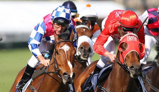 BriarStobie1's tweet photo. #charlieboy fighting out the finish. #LookOfDetermination. I love my Boy always gives his all! @TripleCrownSynd http://t.co/v4Hsvo4B0U