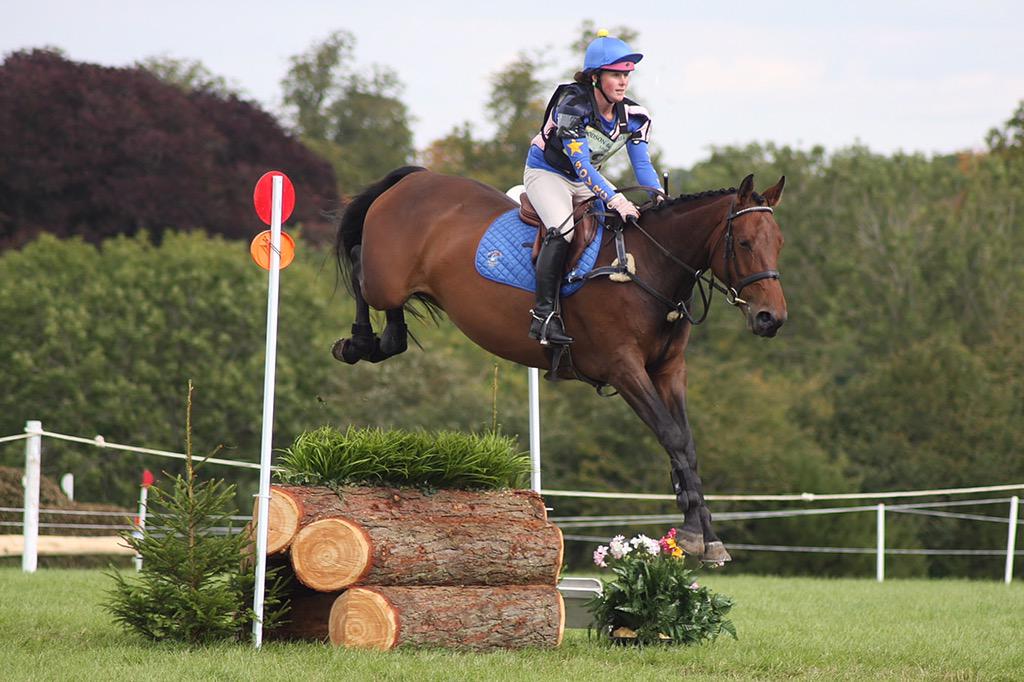 WStables's tweet photo. Was lucky enough to borrow this 5yr old for Blenheim! #loveher #MghLia #SheHasWings http://t.co/QDp9IdAOjb
