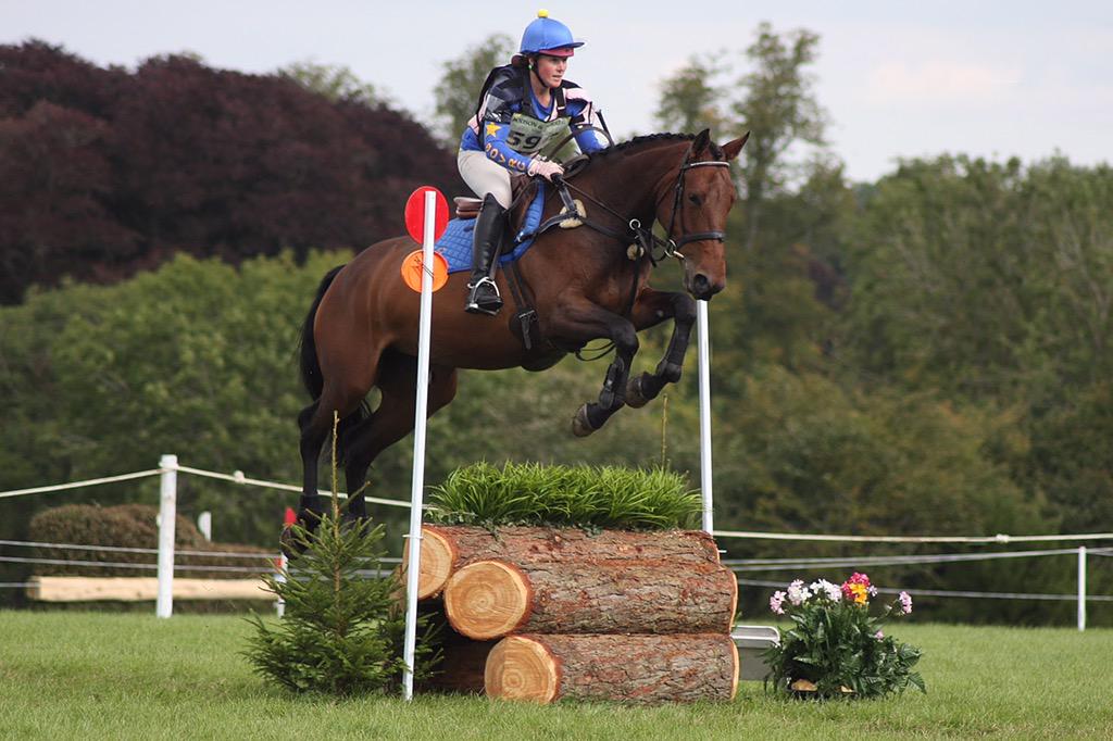 WStables's tweet photo. Was lucky enough to borrow this 5yr old for Blenheim! #loveher #MghLia #SheHasWings http://t.co/QDp9IdAOjb