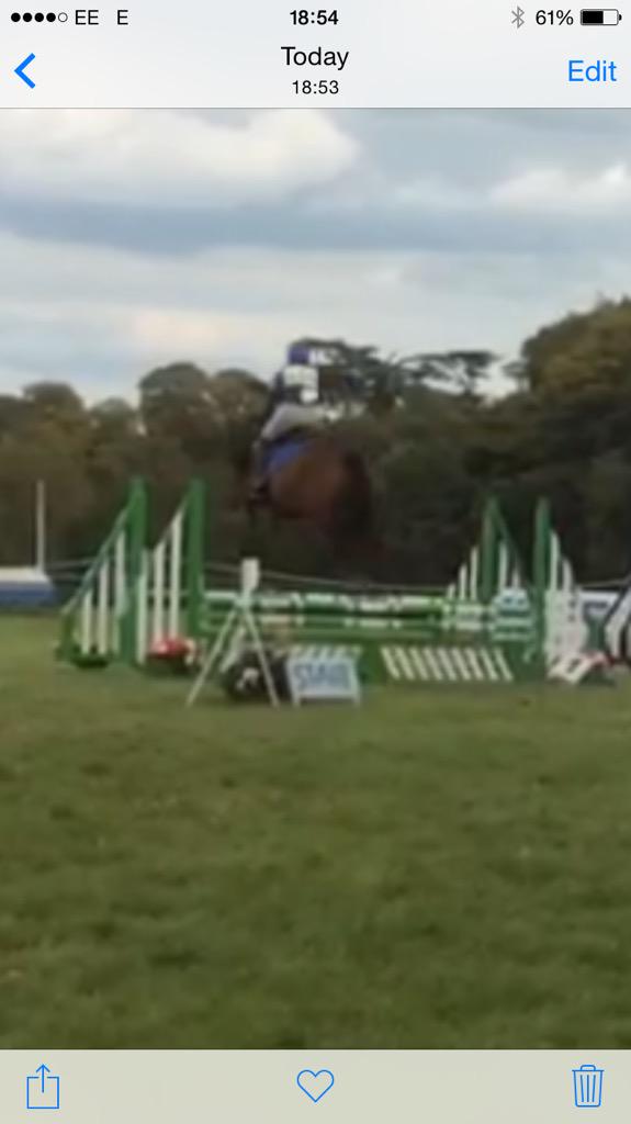 WStables's tweet photo. Was lucky enough to borrow this 5yr old for Blenheim! #loveher #MghLia #SheHasWings http://t.co/QDp9IdAOjb
