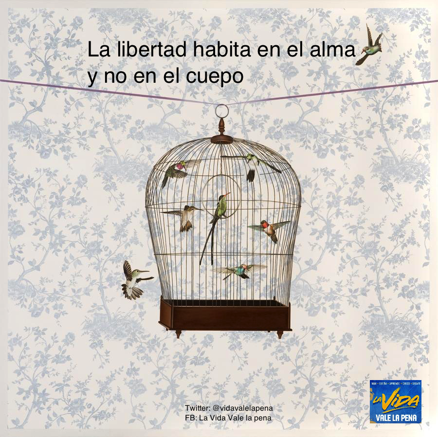 vidavalelapena's tweet photo. Libertad... http://t.co/013f1shvlQ