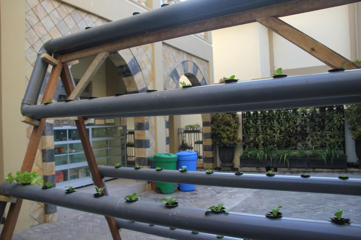Hidroponik vertikultur, lebih hemat tempat dengan produktivitas yang tinggi #GreenSchoolFest