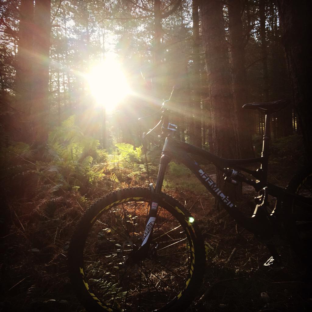 CHEMICAL BIKES (@chemicalbikes) on Twitter photo 