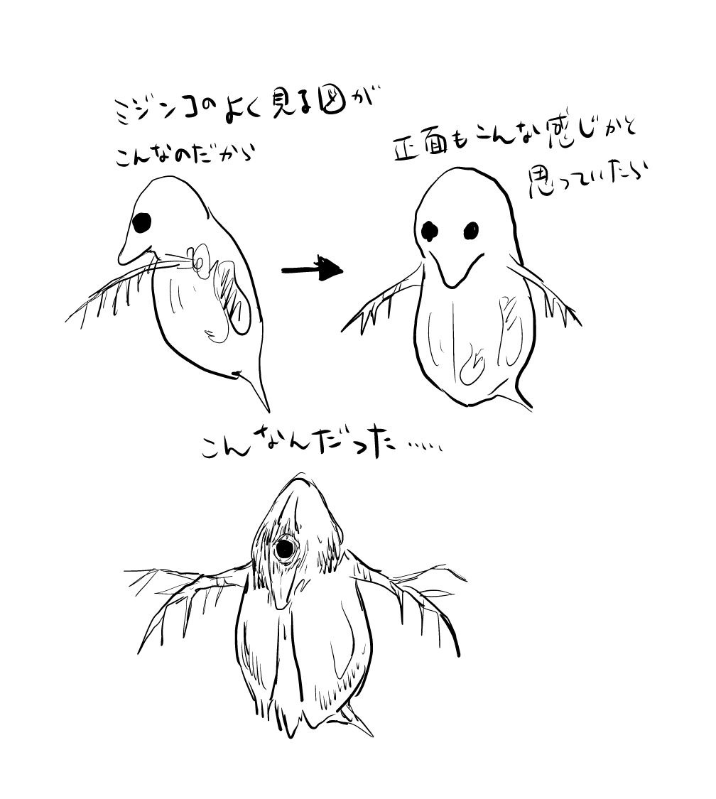 正面 ミジンコ ミジンコの形態と採餌様式の観察｜生物学実験｜文系学生実験｜教育プロジェクト｜慶應義塾大学 自然科学研究教育センター