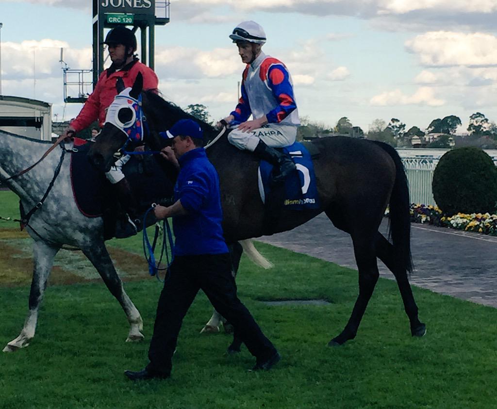 timbguille's tweet photo. Politeness flys down the outside to take out the @WillHillAus Stks @MRCTrackNews in a cracking race #formfollower http://t.co/5bh3cKLNIH
