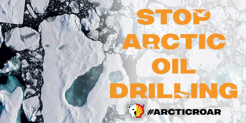 Extreme conditions, floating ice bergs &amp; stormy seas. <a href="/Shell/">Shell</a>, it's not safe to drill for Arctic oil! #ArcticRoar