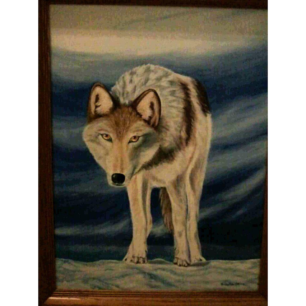 ChristineLellan's tweet photo. #wolfves #wolf #please stop shooting wolves BC http://t.co/fHRLjnkYbk