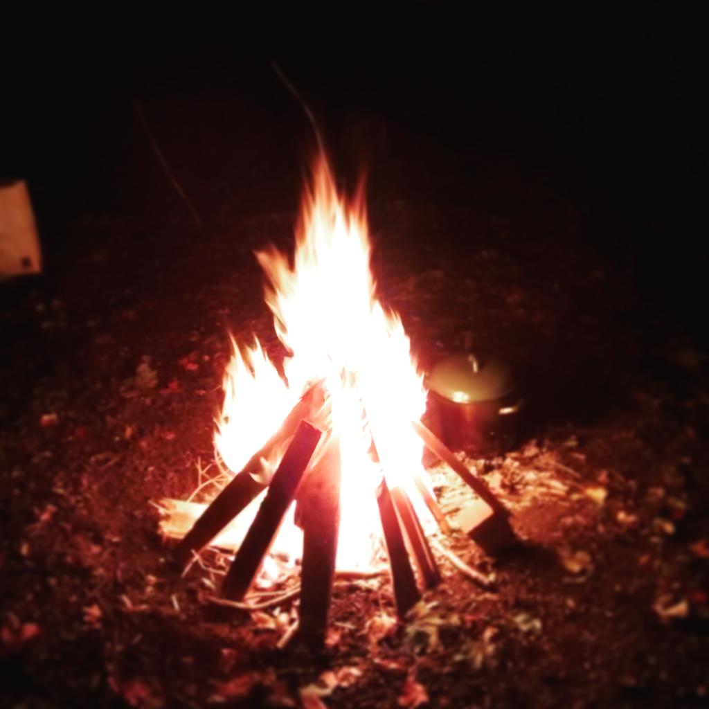 Ace to play &amp; listen at <a href="/folkintheforest/">Folkintheforest</a> last night. A magical eve.