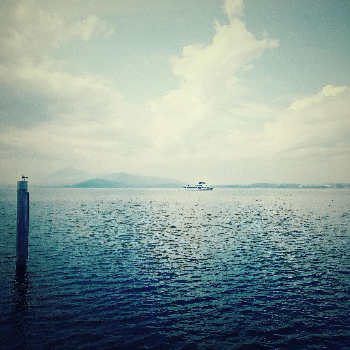 SWF Friday-Party: Knit-Sip-Cruise! Details and tickets are up, limited number available! goo.gl/uwt1yp