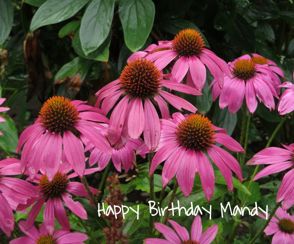 Happy Birthday :-) 