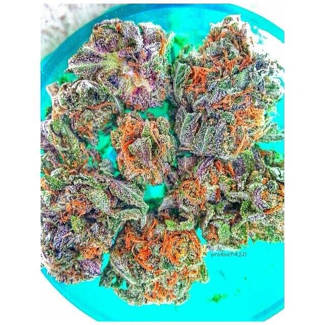 marijuana_feed's tweet photo. http://t.co/i9nUTRNBNP
