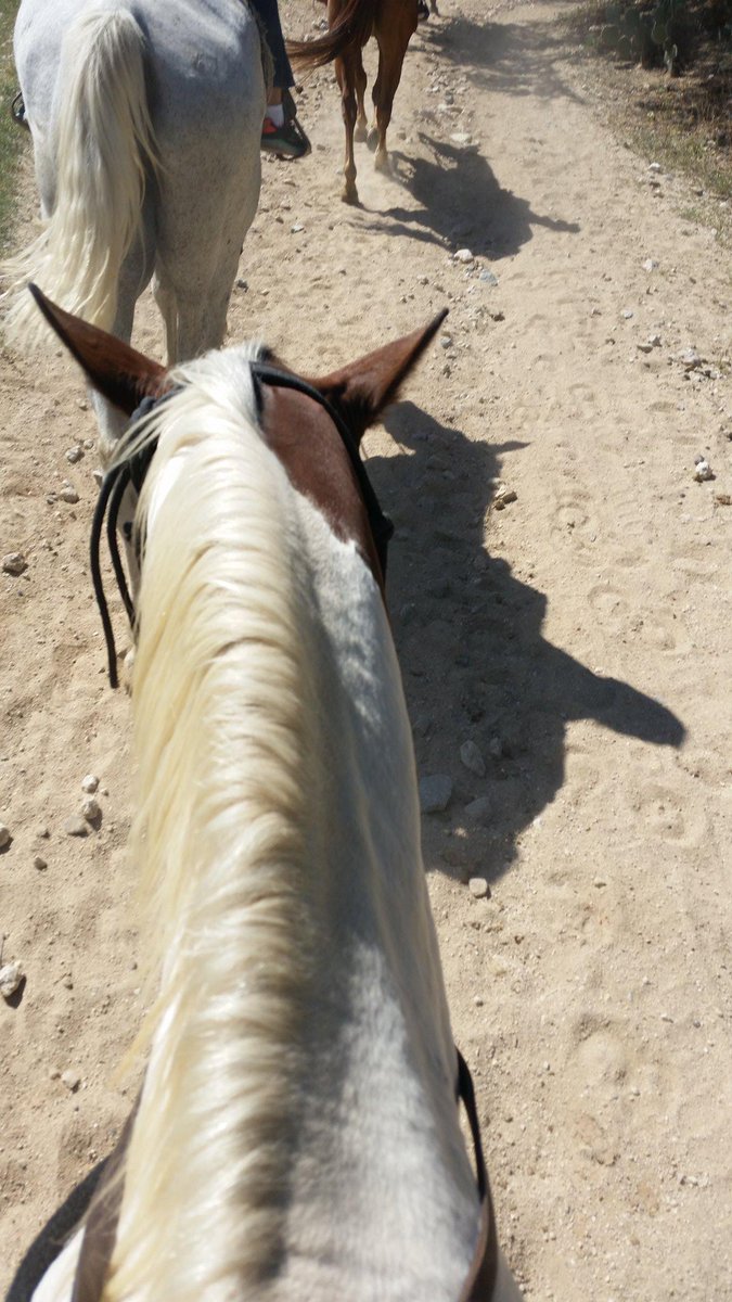 I love my job. Working with horses and kids is a dream come true for me. #tanqueverderanch