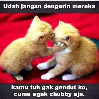 WiIsmail's tweet photo. http://t.co/saXs3H4uwK