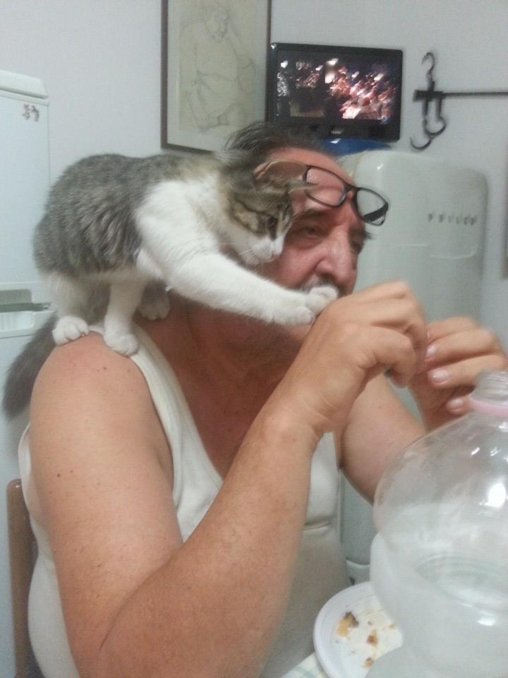 GPiziarte's tweet photo. Ha #scalato #Babbo per la #porchetta . Sono #soddisfazioni
#expo2015 #artninja #cat #gattina #micia http://t.co/c20xcYeP41